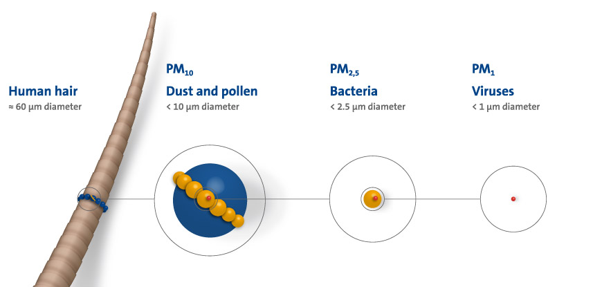 Virus size comparison